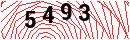 Security Verification