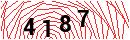 Security Verification