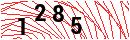 Security Verification