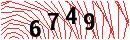 Security Verification