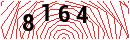Security Verification