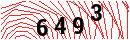 Security Verification