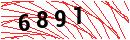 Security Verification