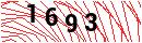Security Verification