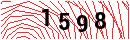 Security Verification