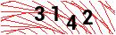 Security Verification
