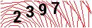 Security Verification