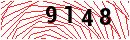 Security Verification