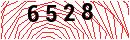 Security Verification