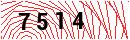 Security Verification