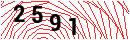Security Verification
