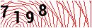 Security Verification