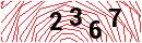 Security Verification