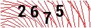 Security Verification