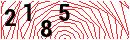 Security Verification