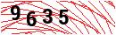 Security Verification