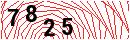 Security Verification
