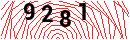 Security Verification