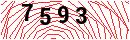 Security Verification