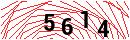 Security Verification