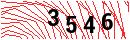 Security Verification