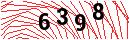 Security Verification