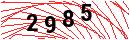 Security Verification