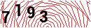 Security Verification