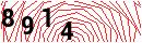 Security Verification