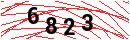 Security Verification