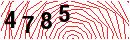 Security Verification