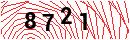Security Verification