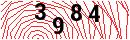 Security Verification