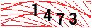 Security Verification