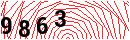 Security Verification