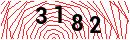 Security Verification
