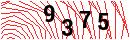 Security Verification