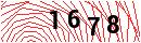Security Verification