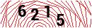 Security Verification