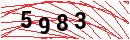 Security Verification