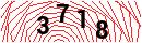 Security Verification