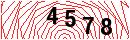 Security Verification