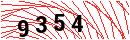 Security Verification