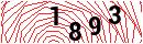 Security Verification