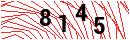 Security Verification