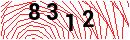 Security Verification