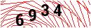 Security Verification