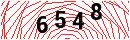 Security Verification