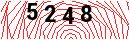Security Verification