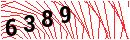 Security Verification